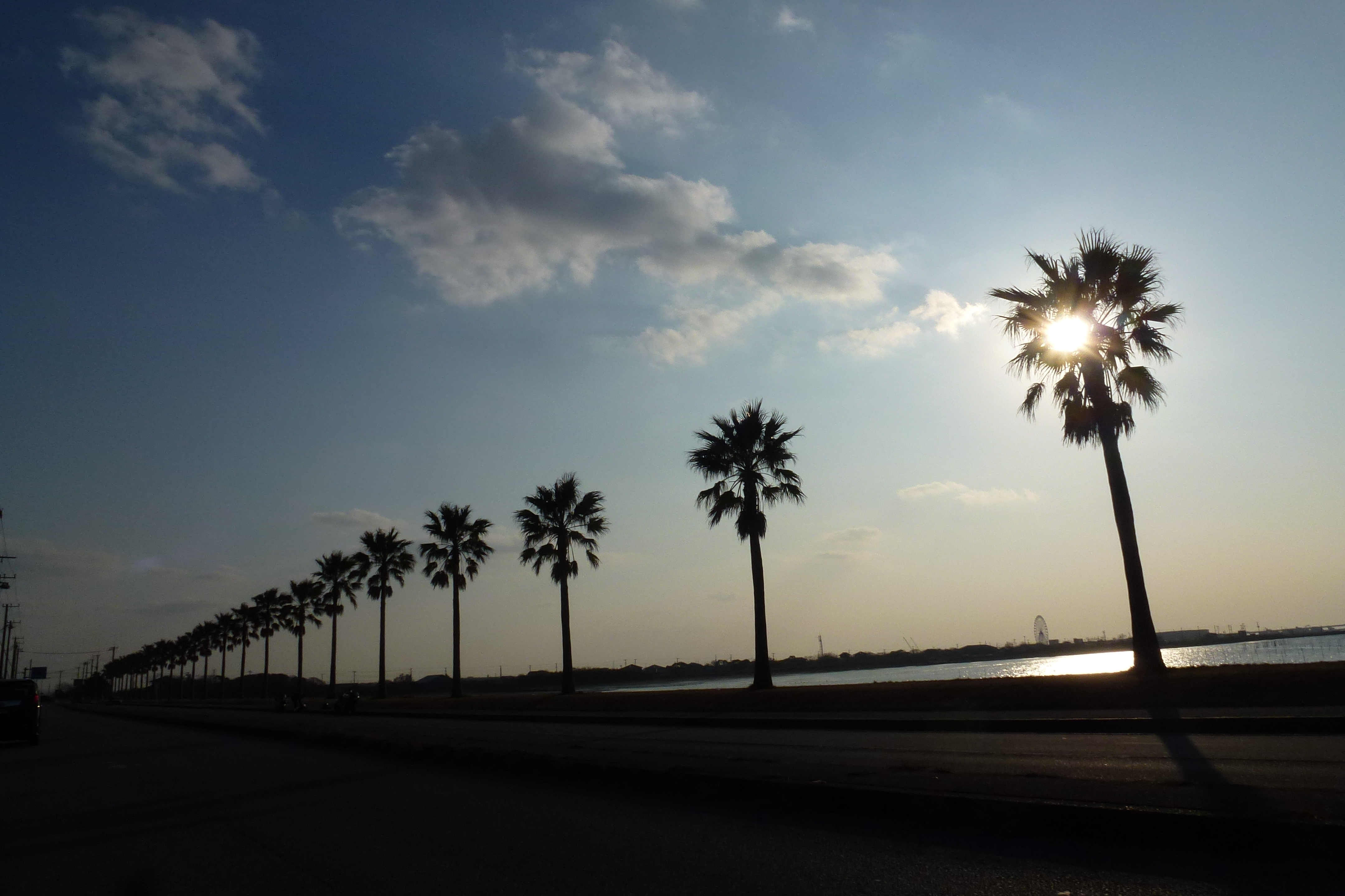 袖ヶ浦海浜公園 千葉フォルニア の住所とアクセスは 駐車場と夜についても