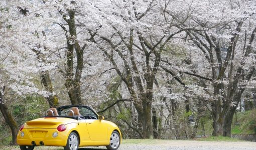 軽自動車の買い替え時期やタイミングは13年目？税金がお得な月は？